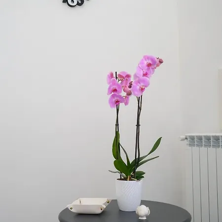 Sunrise Apartment *